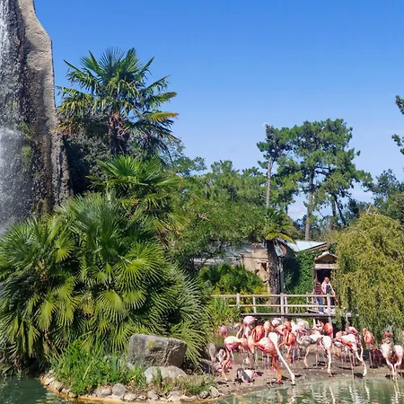 Stunning In With Wifi