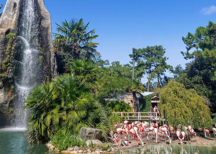 Stunning In With Wifi